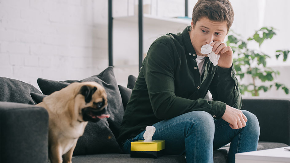 Purchasing an air purifier is one of the wisest ways to boost your home’s indoor air quality. Learn more about the three best options. 